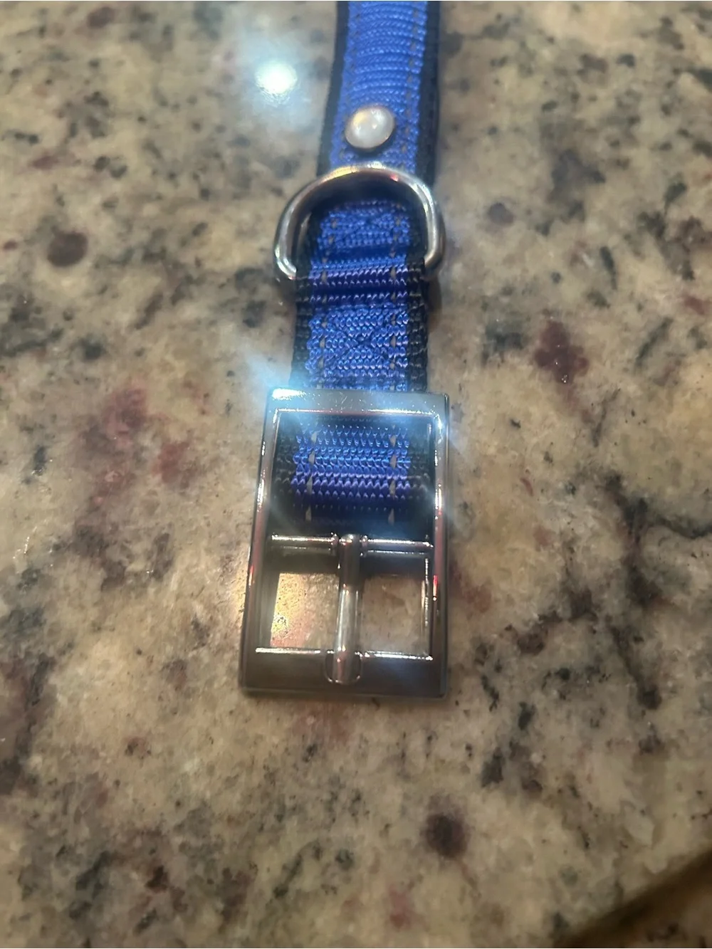 Dogs blue collar with light in size small
